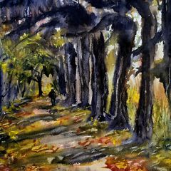 lime tree walk at argory watercolour
