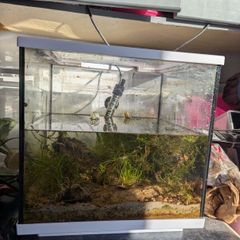 Interpret cube 28L fish tank