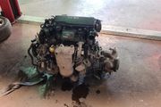 Ford Duratorq engine