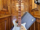 Rickenbacker 660/12 2006