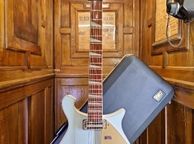 main image for ad Rickenbacker 660/12 2006