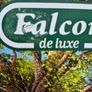 Falcon 1000 piece jigsaw puzzle Image 2