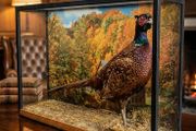 pheasant glass display cabinet