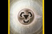 Metal Energy Reverse Holo Sword and Shield 2022 Pokemon Card