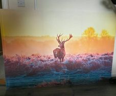 canvas picture home decor
