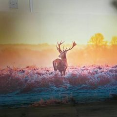 canvas picture home decor