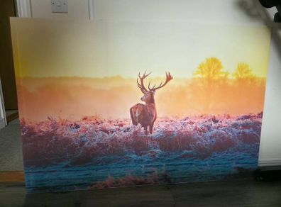 canvas picture home decor