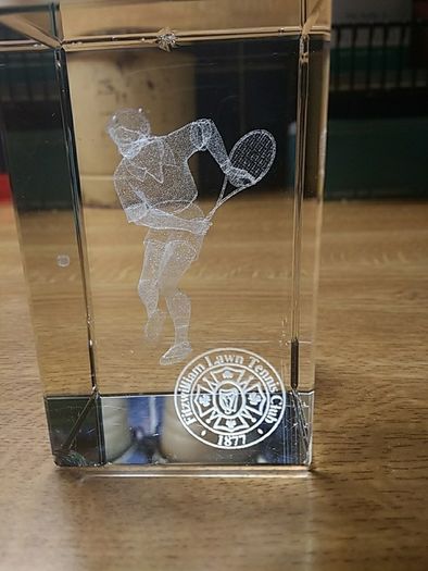 Two  3D Glass Paperweights