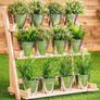 Pack of 12 Galvanised Iron Metal Flower Pots in Weather Resistant Metal for Indoor or Outdoor Use, Ideal for Plants, Herb Collection, Flowers and Shrubs Image 3