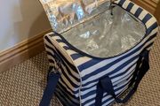 Cooler picknick bag