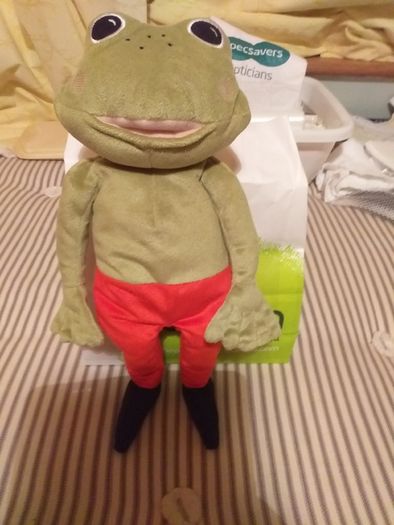 Freddie the Frog.