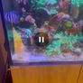 300 liter clear seal tank and sump Image 3