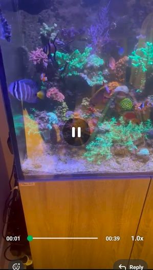 300 liter clear seal tank and sump