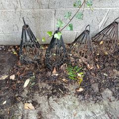 bird chimney guard