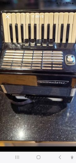 acordeon weltmeister