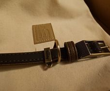 Dog Collar