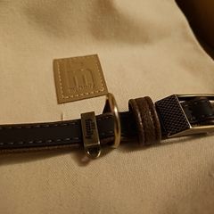 Dog Collar