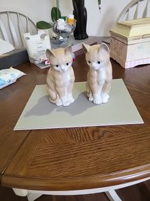 Cat ornaments