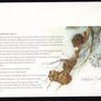 2014 Isle of Man Winter Flora Miniature Sheet Commemorative Stamp First Day Cover (FDC) Image 2