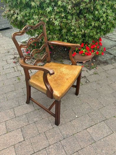 Dining Chairs