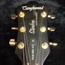 Tanglewood starfire gold classic Image 2
