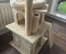 Cat Tree