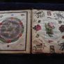 Victorian/Edwardian Album of colourful scraps - Circa 1890's/1900's Image 8
