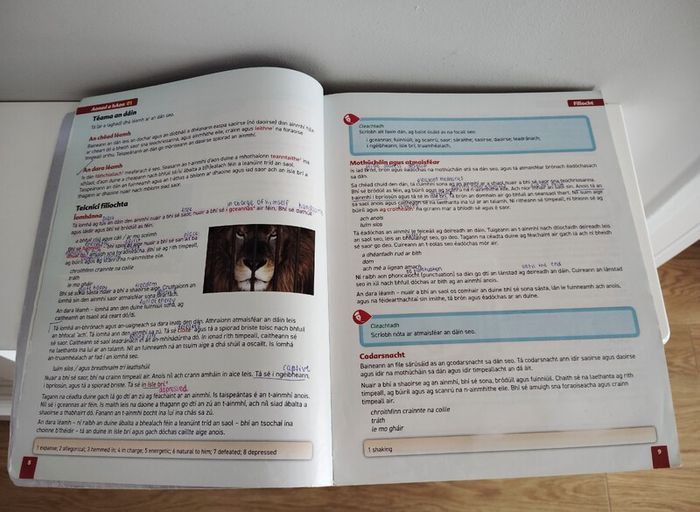 Fiuntas Nua Leaving Certificate Irish Higher Level