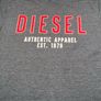 Diesel Mens Grey T-shirt Size Large Image 2