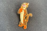 Disneyland Pin