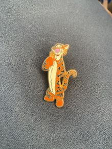 Disneyland Pin