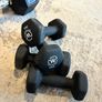 Dumbbell sets (15, 6 & 2kg) Image 4