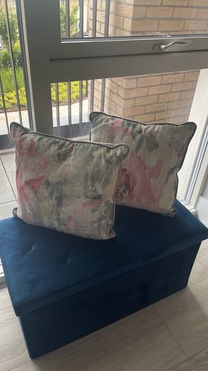 Pink & Grey Velvet Cushions