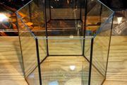 Hexagonal Aquarium 31l