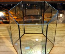 Hexagonal Aquarium 31l