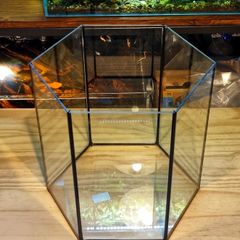 Hexagonal Aquarium 31l