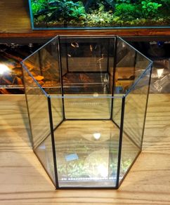 Hexagonal Aquarium 31l