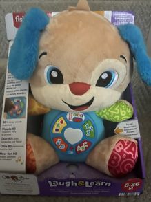 Fisher Price learning bear