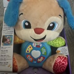 Fisher Price learning bear