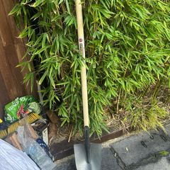shovel