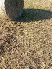 Round bales of hay off the field,Ballinamuck
