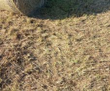 Round bales of hay off the field,Ballinamuck