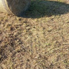 Round bales of hay off the field,Ballinamuck