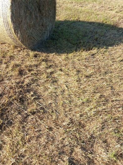 Round bales of hay off the field,Ballinamuck