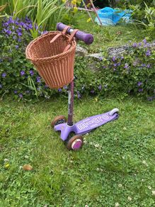 mini micro scooter purple