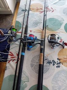 2 spinning rods 3 reels
