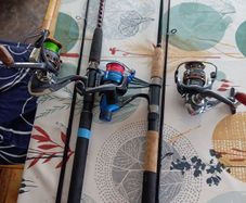 2 spinning rods 3 reels