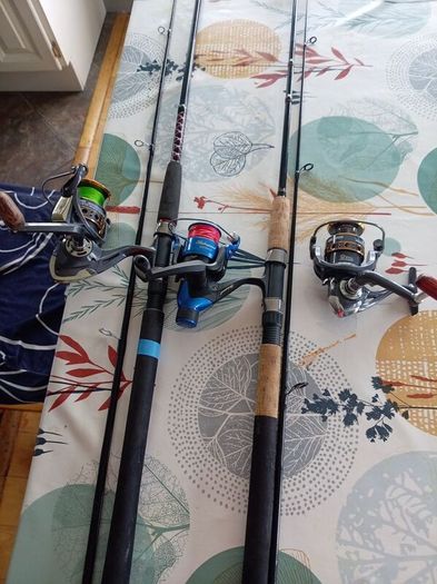 2 spinning rods 3 reels