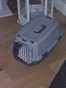 Small pet carrier
