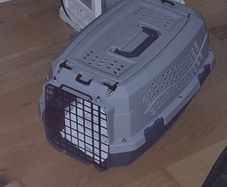 Small pet carrier